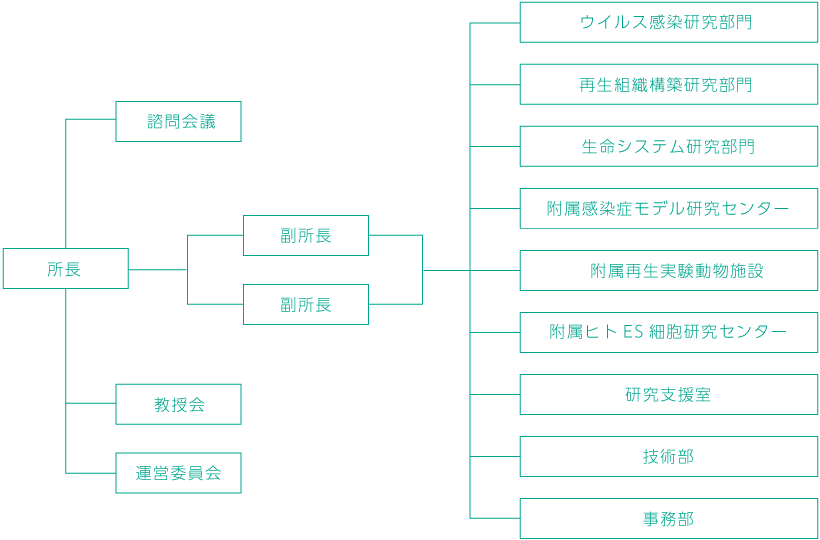 組織・体制図