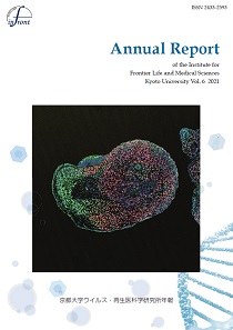 Annual Report Vol.6 2021